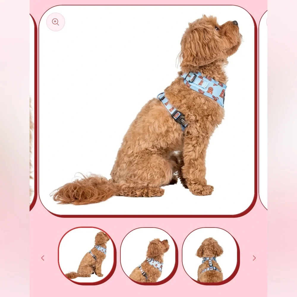 NWT Pablo & Co Cavoodle Adjustable Harness